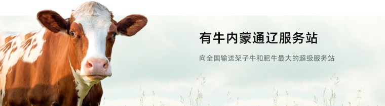 responsive img