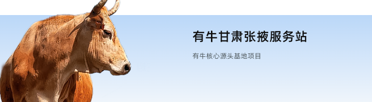 responsive img